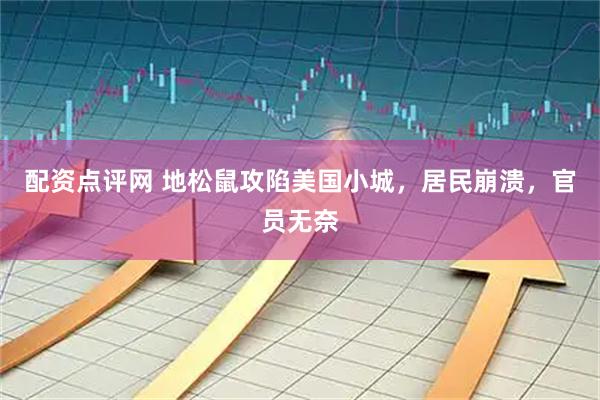 配资点评网 地松鼠攻陷美国小城，居民崩溃，官员无奈